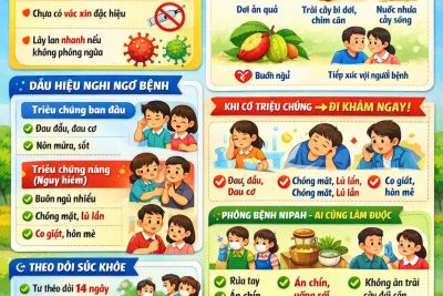 Cách phòng chống dịch bệnh do virut Nipah